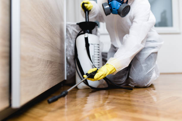 Best Termite Control Services  in Fairview Park, OH