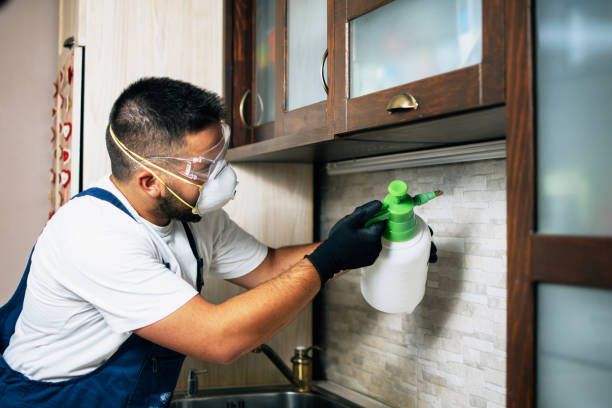 Best Flea Control Services  in Fairview Park, OH