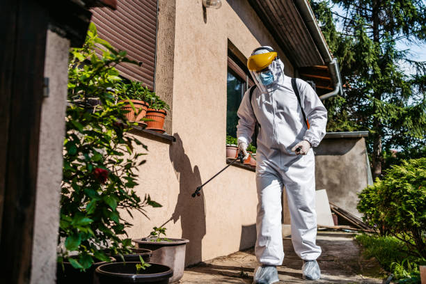 Best Mosquito Control Services  in Fairview Park, OH