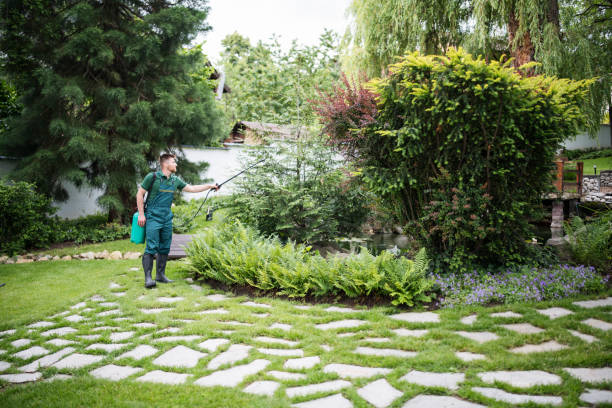 Best Mosquito Control Services  in Fairview Park, OH