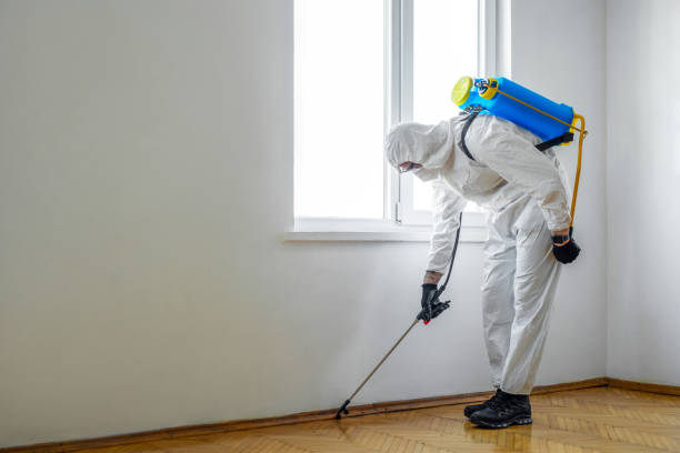 Reliable Fairview Park, OH Pest Control Solutions